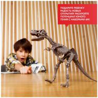 🦖 dinosaur skeleton excavation kit - tyrannosaurus rex fossil dig-up - 4m logo
