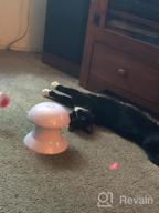 img 1 attached to Cat Laser Toys, 3 In 1 Tumbler Interactive Cat Toys, Laser And Feather Toys For Indoor Cats Kittens Pets, Rechargeable Automatic Cats Chaser Toy With Laser,3 Speed Modes,3 Timer Settings review by John Twardowski