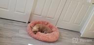 картинка 1 прикреплена к отзыву Ultra Soft Self-Warming Donut Cuddler Round Cat Bed - XS(15.8" X 15.8") In Light Gray - Washable And Cozy For Indoor Cats - XZKING от Brady Shayotovich