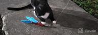 img 1 attached to Interactive Cat Toy Wand With Retractable Feathers And Bell, 5 Assorted Refills Included For Funny Kitten Exercise, Perfect For Indoor Cats - Depets review by Wilbert Luoma