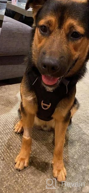 img 1 attached to 🐾 Premium No-Pull Dog Harness for Large Dogs with Handle, Reflective & Adjustable - Ideal for Medium to Large Breeds review by Sam Dhungana