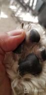 img 1 attached to Cordless Dog Clippers: The Ultimate Grooming Tool For Your Furry Friend review by Darin Grosz