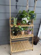 img 1 attached to COPREE Bamboo 3-Tier Hanging Plant Stand: Organize Your Garden In Style! review by Herve Latreche