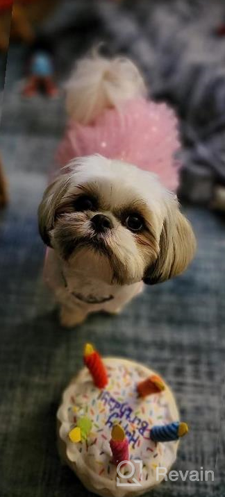 img 1 attached to 🦄 KYEESE Unicorn Tiered Layer Tutu Tulle Dog Birthday Party Dress with Sequins - Perfect for Small Dogs review by Shawn Mcfee