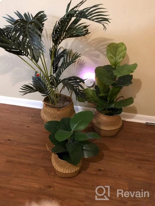 img 1 attached to 3 Pack Foldable Woven Seagrass Plant Basket With Handles - Ideal For Storage, Laundry, Picnic & More! review by Michael Richardson