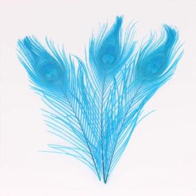 img 1 attached to Shop Now: Natural Lake Blue Peacock Feathers - Ideal For Christmas, Halloween, Home Party And Wedding Centerpieces In Bulk 10-12 Inches (25-30Cm)