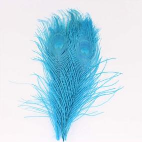 img 2 attached to Shop Now: Natural Lake Blue Peacock Feathers - Ideal For Christmas, Halloween, Home Party And Wedding Centerpieces In Bulk 10-12 Inches (25-30Cm)