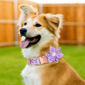 img 3 attached to 🐶 TDTOK Girl Dog Collar: Cute, Adjustable, and Floral Collar for Small, Medium, and Large Dogs