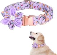 🐶 tdtok girl dog collar: cute, adjustable, and floral collar for small, medium, and large dogs logo