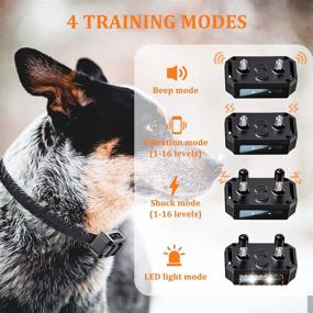 img 3 attached to 🐶 Remote Dog Training Collar - Rechargeable Waterproof Electric Collar with Beep, Vibration, Shock and LED Light Training Modes, Range of 1500 Feet - Bark Collar for Small, Medium, and Large Dogs