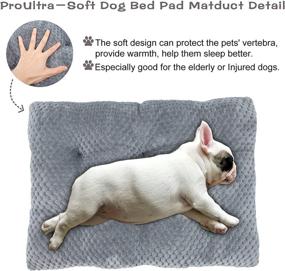 img 1 attached to 🐾 INVENHO Ultra Soft Large Dog Bed Crate Pad Mat - Washable Pet Beds for Large, Medium, and Small Dogs & Cats