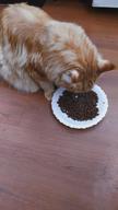 img 2 attached to Dry food for cats Primordial grain-free, with salmon, with tuna 2 kg review by Erzsbet Juhsz ᠌