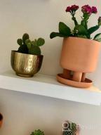 img 1 attached to Set Of 2 - 4.5" Terracotta Clay Plant Pots W/ 3 Legs & Saucer | Indoor Succulent Planters review by Tony Korek