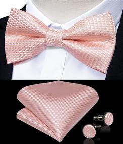 img 1 attached to Versatile DiBanGu Blush Suspenders: Stylish Y Shape Adjustable Men's Accessories for any Occasion