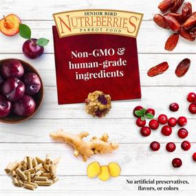 img 1 attached to Lafeber’s Non-GMO Senior Bird Nutri-Berries: Premium Pet 🐦 Bird Food for Parakeets & Cockatiels, with Human-Grade Ingredients