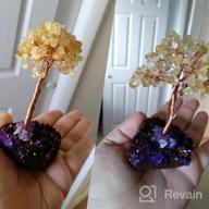 img 1 attached to Mookaitedecor Amethyst Crystal Tree, Quartz Cluster Red Titanium Crystals Base Bonsai Money Tree For Wealth And Luck review by Tami Boudreau
