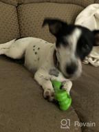 img 1 attached to Unbreakable Oneisall Dog Chew Toy For Aggressive Puppy Chewers review by Josh Nat