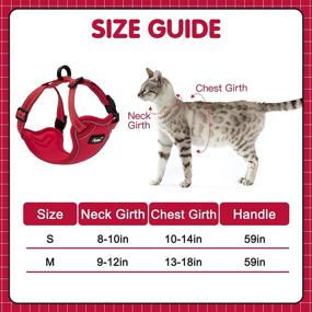 img 3 attached to PUPTECK Escape Proof Cat Harness and Leash - Air-Mesh Vest for Outdoor Walking, Reflective 🐱 and Safe at Night, Breathable for Hot Days - Ideal for All Boy or Girl Kittens