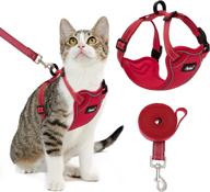 pupteck escape proof cat harness and leash - air-mesh vest for outdoor walking, reflective 🐱 and safe at night, breathable for hot days - ideal for all boy or girl kittens logo