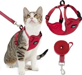 img 4 attached to PUPTECK Escape Proof Cat Harness and Leash - Air-Mesh Vest for Outdoor Walking, Reflective 🐱 and Safe at Night, Breathable for Hot Days - Ideal for All Boy or Girl Kittens