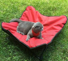img 1 attached to Medium Red Padded Napper Cot Space Saver Pet Bed - HDP Elevated