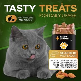 img 1 attached to 🐱 HAPPY GARDEN Cat Calming Treats: Relieve Anxiety with Hemp-Powered Relief! USA-Made Calming Chews for Aggression, Grooming & Travel (Pillows)