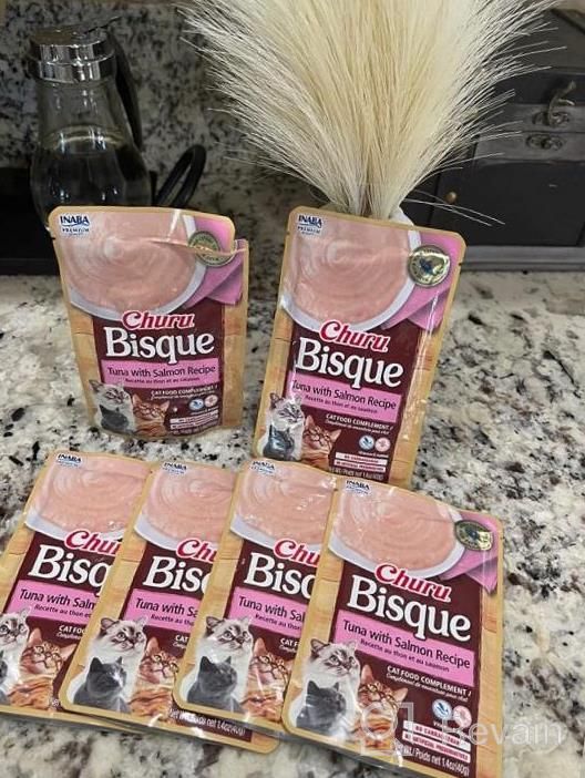 img 1 attached to Indulge Your Feline With INABA Churu Bisque Lickable Treats - Creamy Purée Bisque With Vitamin E & Green Tea Extract - Chicken With Beef Recipe - 1.4 Oz Pouch, 6 Servings, 8.4 Oz Total review by Jill Kohlmeyer