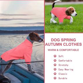 img 2 attached to Pullover Sweatshirt Stretchy Underwear Breathable Dogs best for Apparel & Accessories