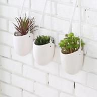 modern and chic: set of 3 ceramic white hanging planters with jute rope for indoor succulent plants logo
