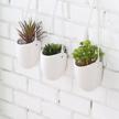 modern and chic: set of 3 ceramic white hanging planters with jute rope for indoor succulent plants logo