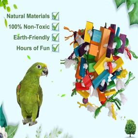 img 3 attached to 🐦 Enhance Bird Stimulation with Hamiledyi Bird Chewing Toys for African Greys, Parakeets, and more!