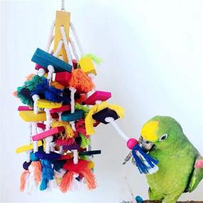 img 2 attached to 🐦 Enhance Bird Stimulation with Hamiledyi Bird Chewing Toys for African Greys, Parakeets, and more!