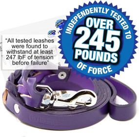 img 2 attached to 🐶 Logical Leather 6ft Braided Dog Leash - Premium Full Grain Leather Lead for Training - Purple