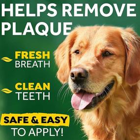 img 3 attached to 🐶 TropiClean Fresh Breath NO BRUSH Clean Teeth Oral Care Gel for Dogs, 4oz - Plaque & Tartar Removal + Breath Freshener