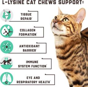 img 1 attached to 🐱 Lysine Cat Treats: Enhance Cat Immune Support, Respiratory Health, and Eye Function – 135 Soft Chews Enriched with Vitamin B, Calcium, Protein; Contains L-Lysine for Cats – American Quality