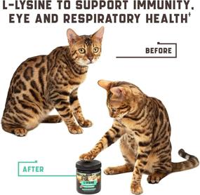 img 3 attached to 🐱 Lysine Cat Treats: Enhance Cat Immune Support, Respiratory Health, and Eye Function – 135 Soft Chews Enriched with Vitamin B, Calcium, Protein; Contains L-Lysine for Cats – American Quality