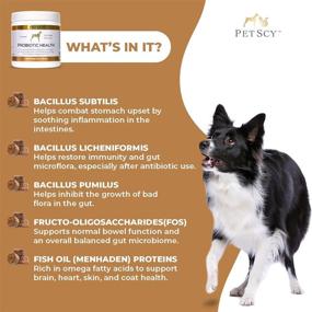 img 2 attached to PetScy - Probiotic Chews for Dogs: Enhancing Skin, Coat, and Gut Health with Prebiotic Fiber and Omega-3 for Dogs of All Ages, Sizes &amp; Breeds | 30 Chews