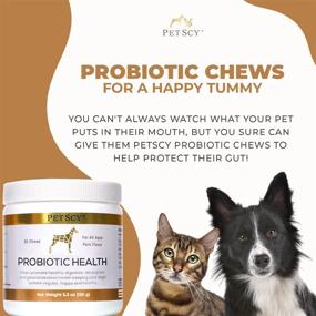 img 1 attached to PetScy - Probiotic Chews for Dogs: Enhancing Skin, Coat, and Gut Health with Prebiotic Fiber and Omega-3 for Dogs of All Ages, Sizes &amp; Breeds | 30 Chews