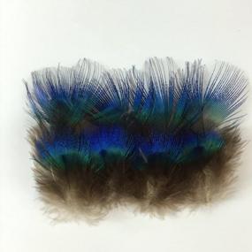 img 3 attached to Sowder 50Pcs Blue Peacock Plumage Feathers 1-3 Inches Home Wedding Decoration