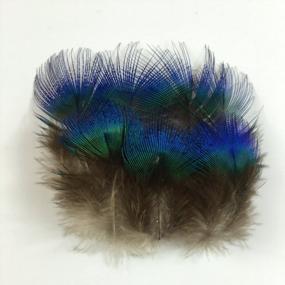 img 2 attached to Sowder 50Pcs Blue Peacock Plumage Feathers 1-3 Inches Home Wedding Decoration