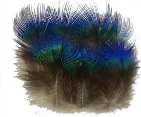 img 4 attached to Sowder 50Pcs Blue Peacock Plumage Feathers 1-3 Inches Home Wedding Decoration