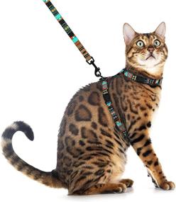 img 1 attached to 🐱 CollarDirect Adjustable Cat Harness and Leash Set: Walk in Style with Geometric Pattern; Perfect for Small Dogs and Puppies (XS)