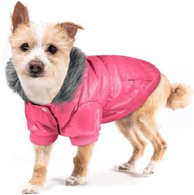 img 4 attached to LESYPET Weather Medium Breeds Hoodies