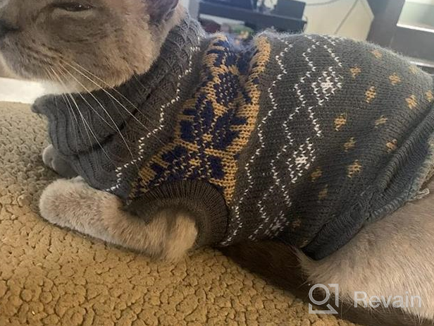 img 1 attached to Cozy Winter Knit Sweater For Cats And Small Dogs - Soft, High-Stretch Pet Clothes By Evursua review by William Nunes