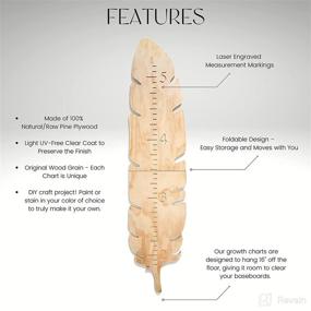 img 1 attached to 📏 LittleRobbieCo. Feather Design Wooden Growth Chart for Kids | Natural Pine Laser Engraved Height Chart | Wall Mountable & Foldable Kids Growth Chart