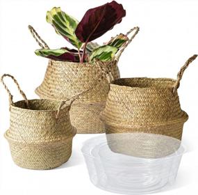img 4 attached to 3-Piece LE TAUCI Woven Seagrass Plant Baskets - 7+7.8+10.2 Inch, Home Storage & Decor Planter Pot (S+M+L)