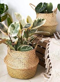 img 1 attached to 3-Piece LE TAUCI Woven Seagrass Plant Baskets - 7+7.8+10.2 Inch, Home Storage & Decor Planter Pot (S+M+L)