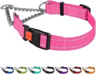 🐶 reflective dog collar with martingale design, side release buckle, chain training, and adjustable fit by collardirect logo