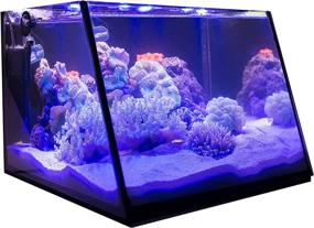 img 3 attached to 🐠 Enhanced Viewing Experience: Lifegard Aquatics Full-View Aquarium with Patented Angle Glass Lid Design - 7 Gallon