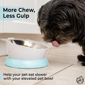 img 3 attached to Stainless Steel Elevated Cat Bowl – Tilted Cat And Small Dog Food Bowls To Improve Digestion And Reduce Neck Strain – Easy-To-Clean Cat Feeder With Sturdy, Nonslip Base By AmazinglyCat
